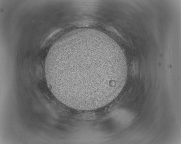 X0000080201446200612221354