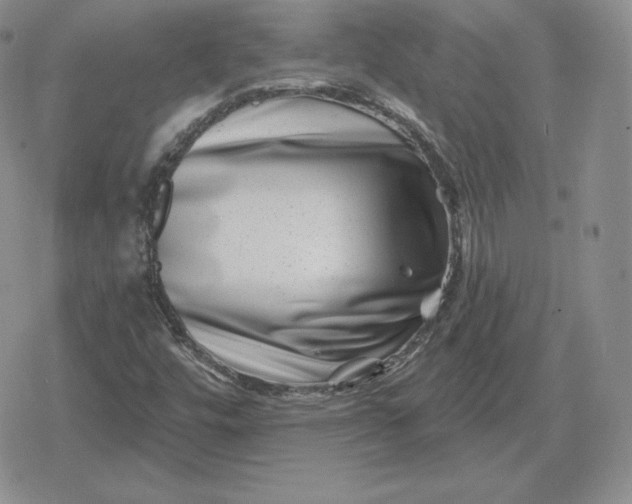 X0000080201448200612221354