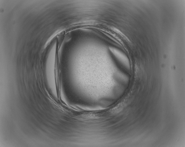 X0000080201450200612221354