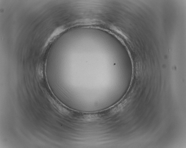 X0000080201451200612221353