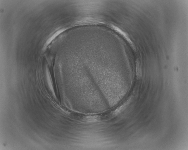 X0000080201453200612221353