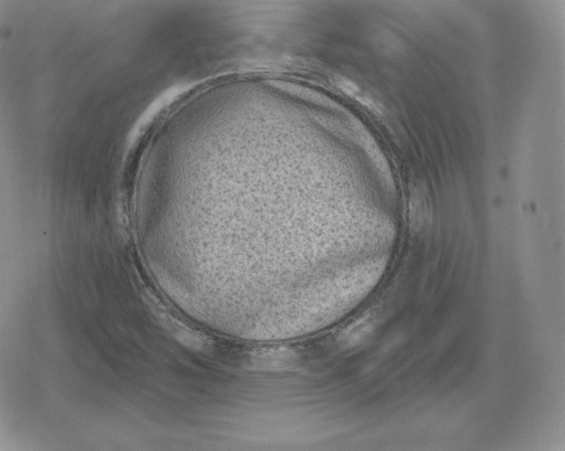 X0000080201454200612221353