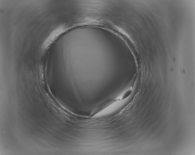 X0000080201455200612221353