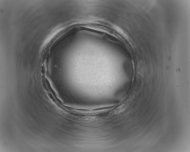 X0000080201456200612221353