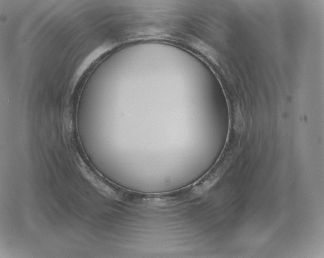 X0000080201458200612221353