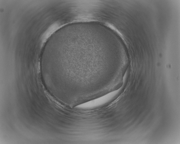 X0000080201459200612221353