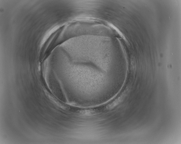 X0000080201461200612221353