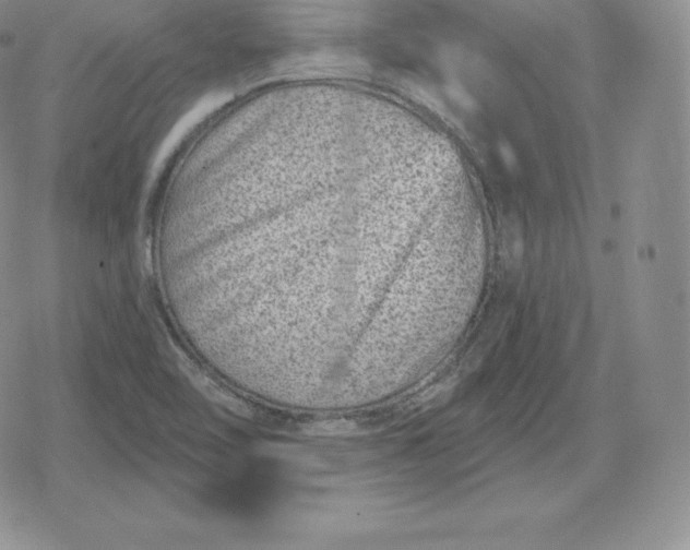 X0000080201462200612221353