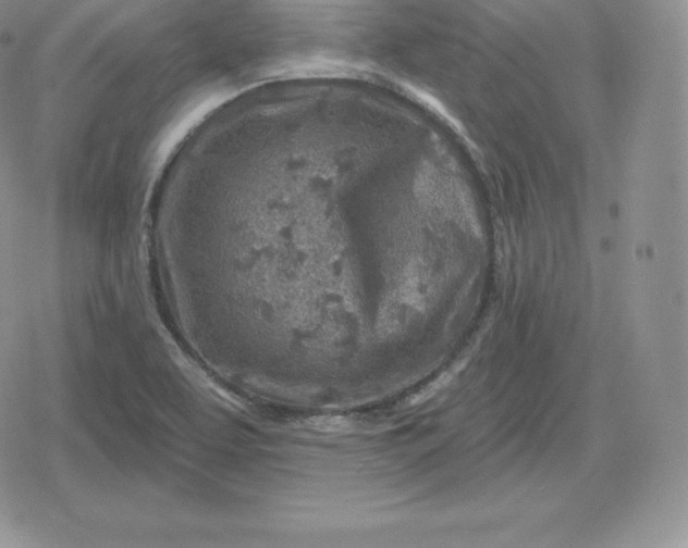 X0000080201463200612221353