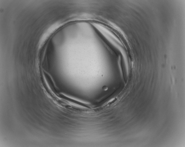 X0000080201464200612221353