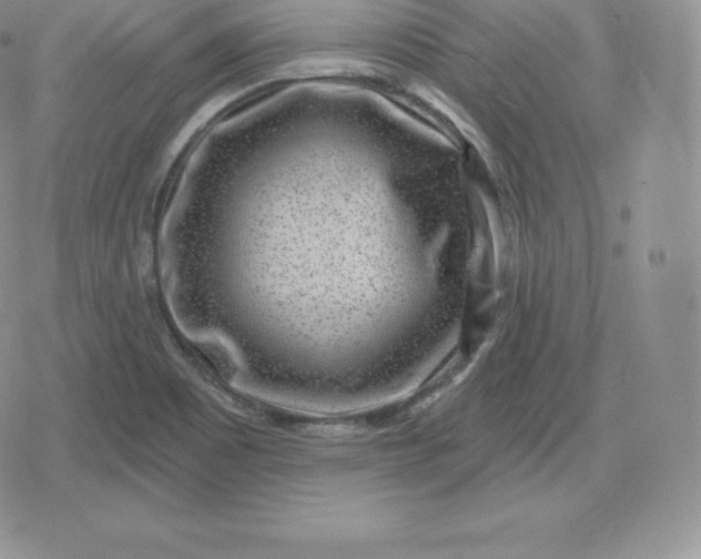 X0000080201465200612221353