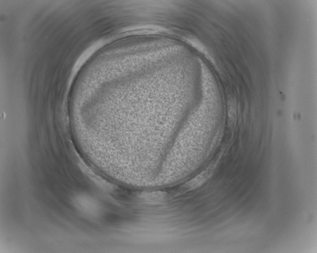 X0000080201466200612221353