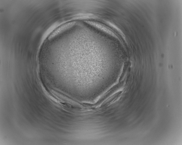 X0000080201467200612221353