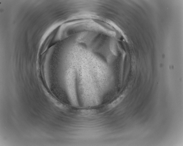 X0000080201469200612221353