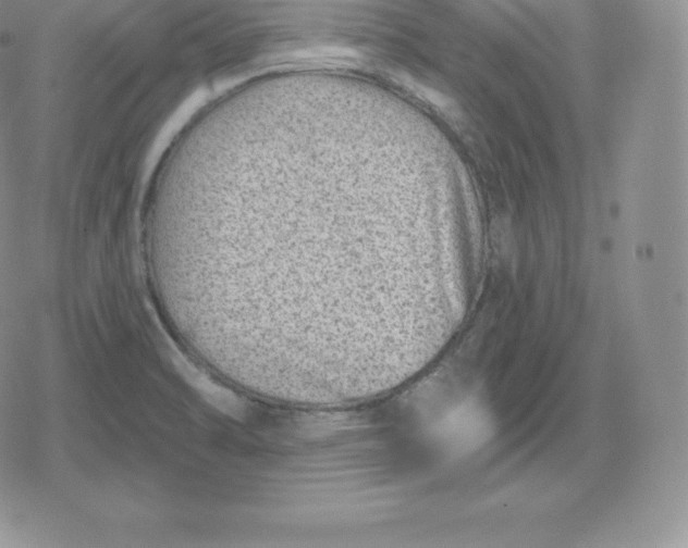 X0000080201470200612221353