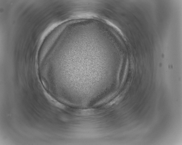 X0000080201471200612221353