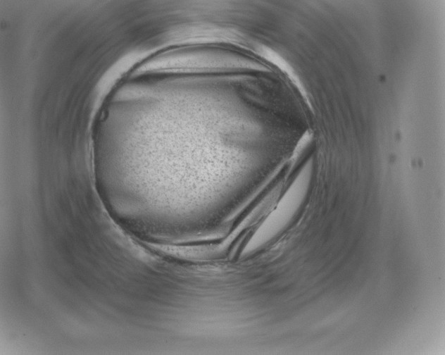 X0000080201472200612221353