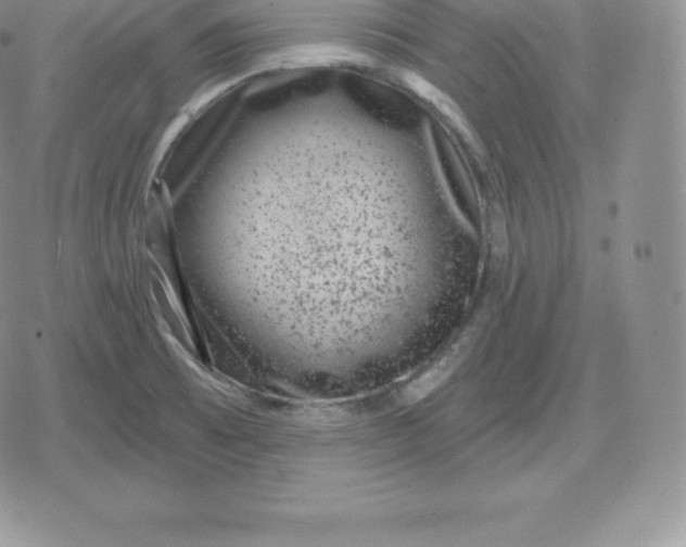 X0000080201473200612221353