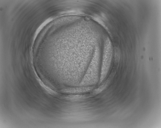 X0000080201474200612221353