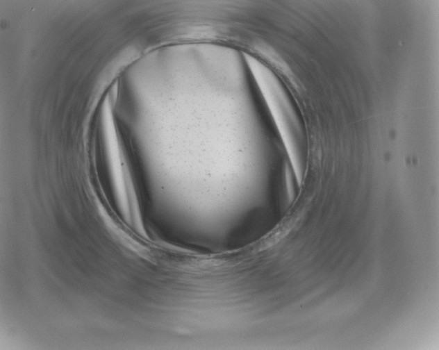 X0000080201475200612221353