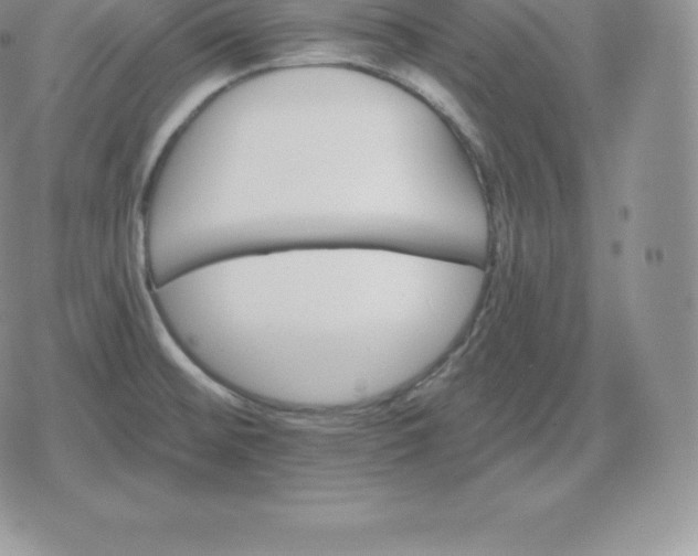 X0000080201476200612221353