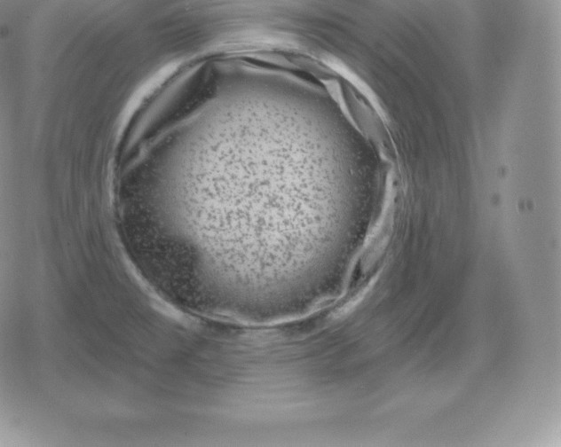 X0000080201477200612221353