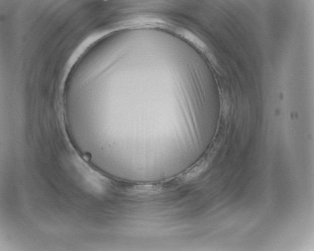 X0000080201478200612221353