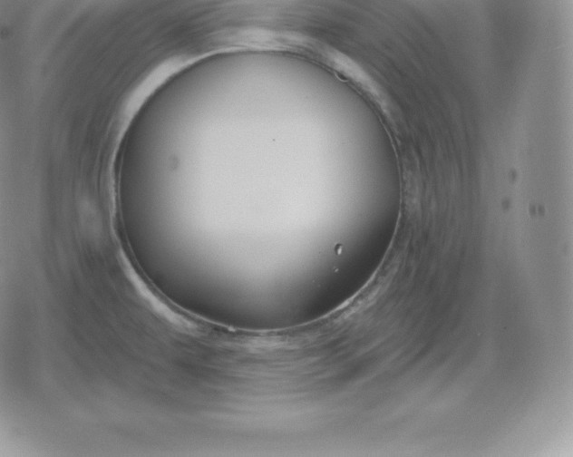 X0000080201479200612221353