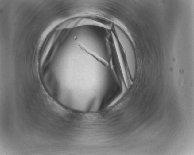 X0000080201480200612221353