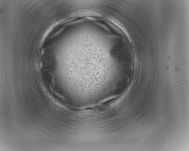 X0000080201481200612221353