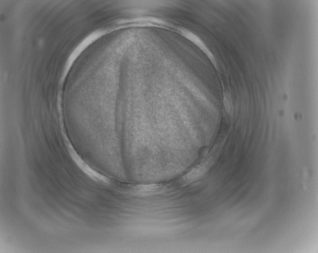 X0000080201482200612221353