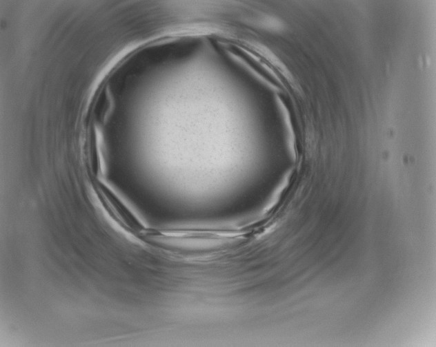 X0000080201484200612221353