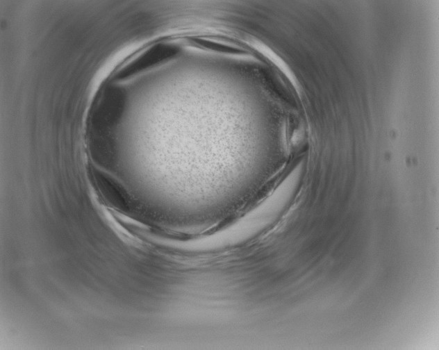 X0000080201485200612221353