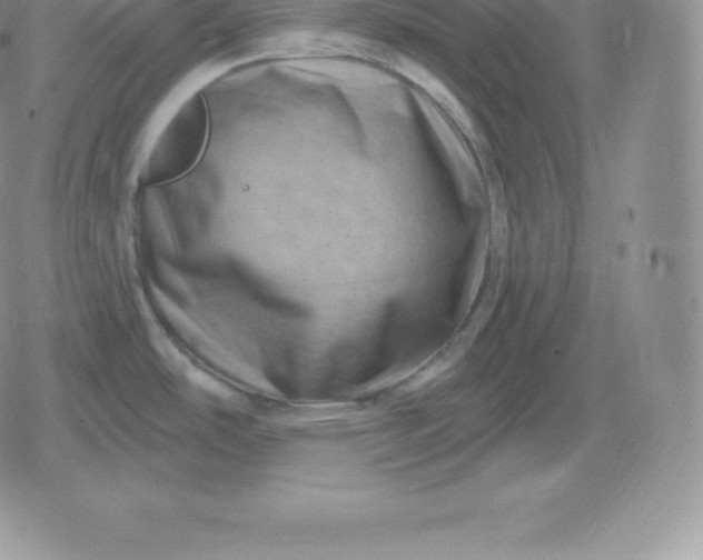 X0000080201486200612221353