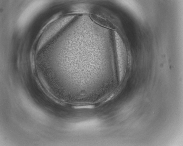 X0000080201487200612221353