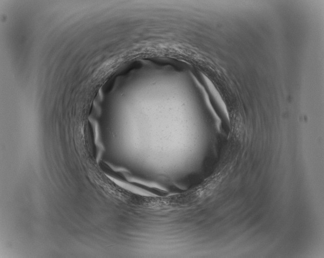 X0000080201489200612221352