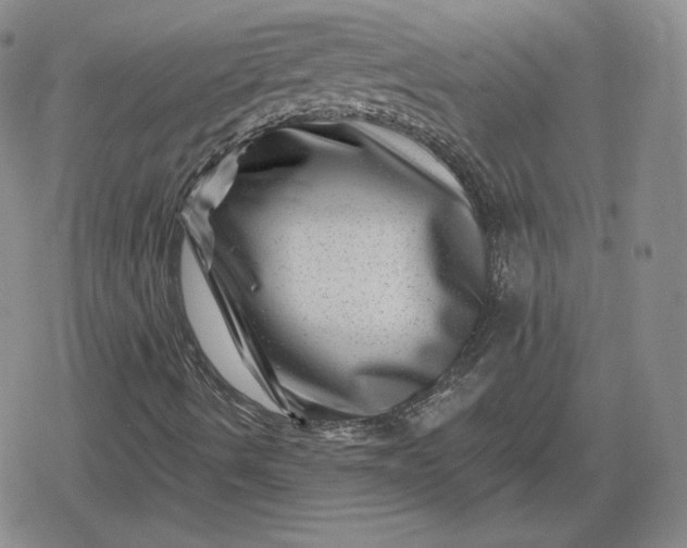 X0000080201490200612221352