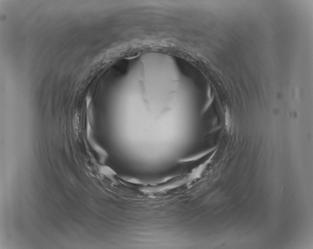 X0000080201492200612221352