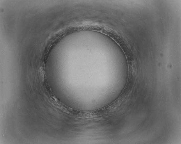 X0000080201493200612221352