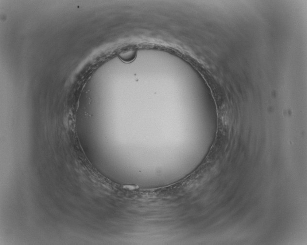 X0000080201495200612221352