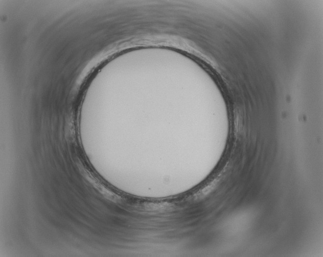 X0000080201498200612221352