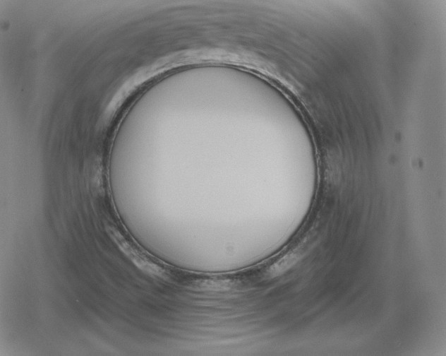 X0000080201499200612221352