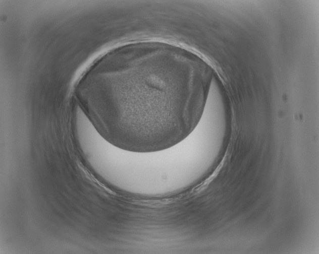 X0000080201502200612221352