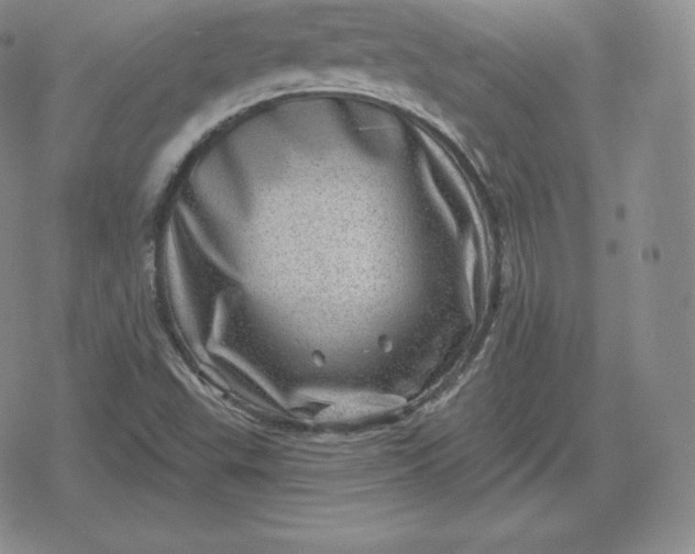 X0000080201503200612221352