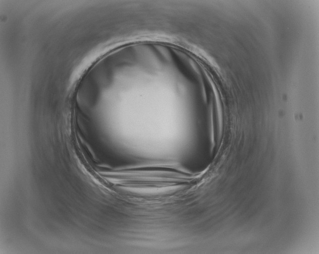 X0000080201504200612221352