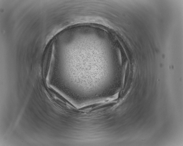 X0000080201505200612221352