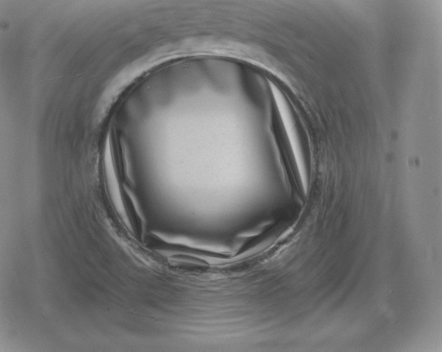 X0000080201507200612221352