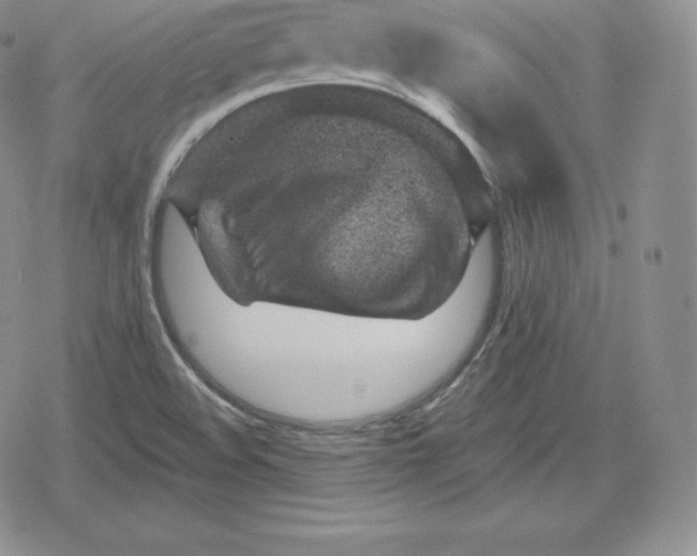 X0000080201508200612221352