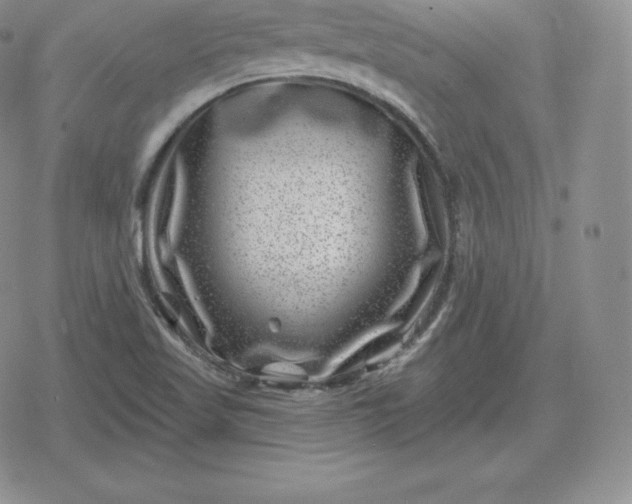 X0000080201509200612221352