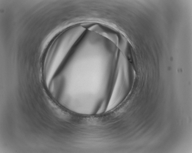 X0000080201511200612221352